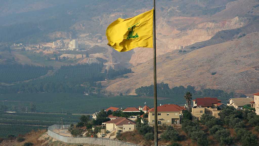 Janub Hezbollah flag