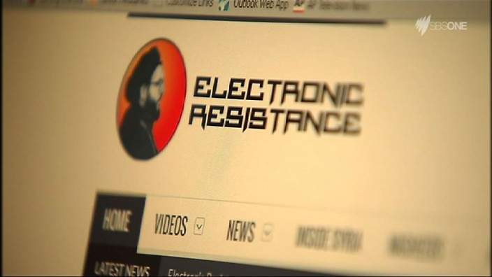 electronic resistance1