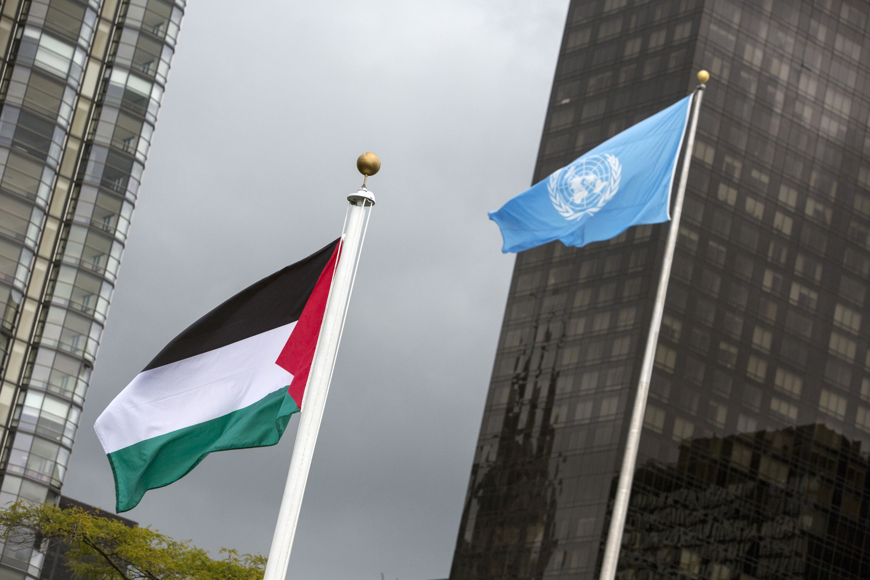 UN Palestine2