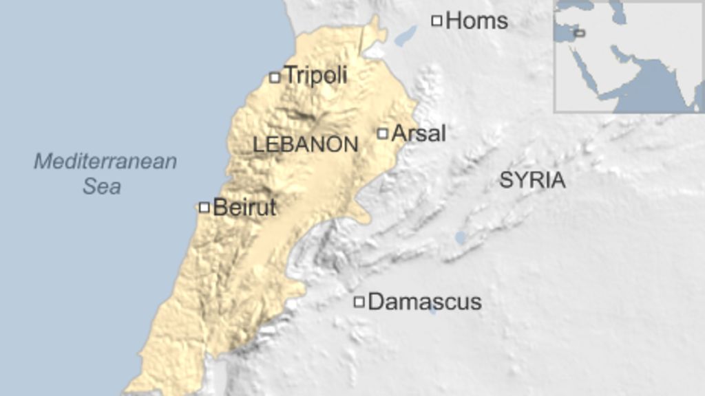 САА, Хизбалла и ливанская армия зачищают границу от ДАИШ