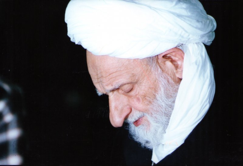 Аятолла Бахджат: исламский богослов, ариф, революционер